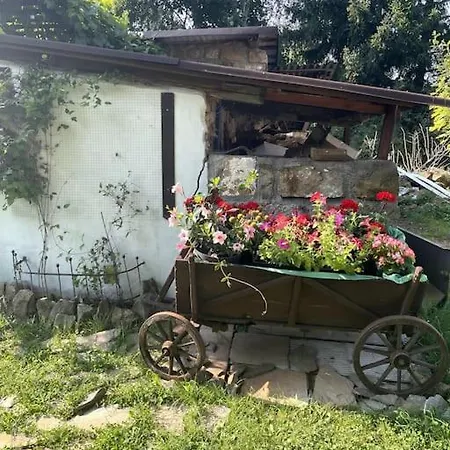 Pod Brzozami * Plawna (Lwowek)