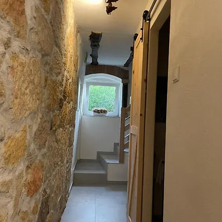 Pod Brzozami דירה