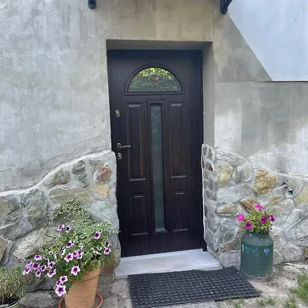 דירה Pod Brzozami *