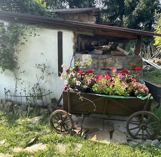 Pod Brzozami * Plawna (Lwowek)